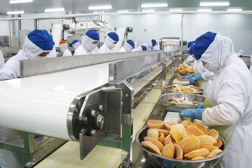 Delta du Mékong de nombreux points lumineux dans les exportations de produits agricoles